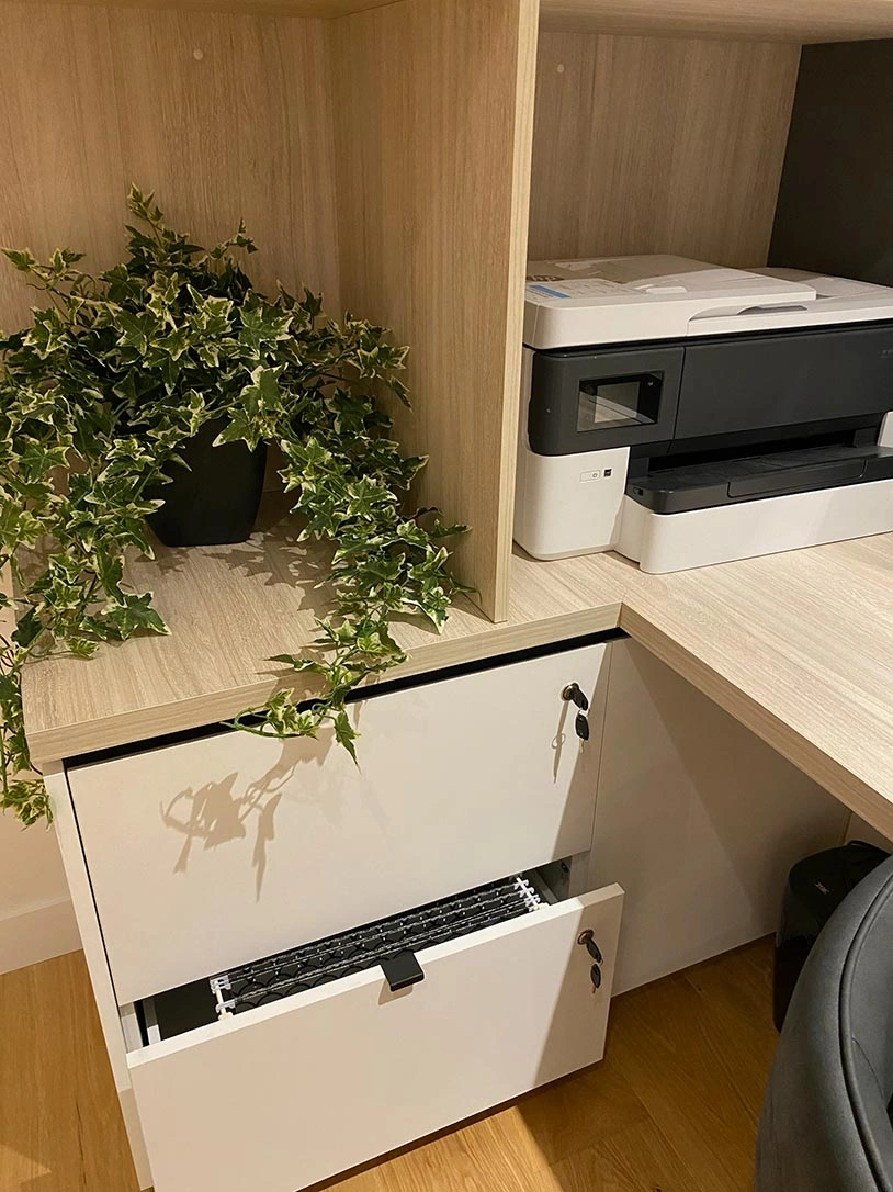 A workspace desk showcasing a printer alongside a vibrant plant