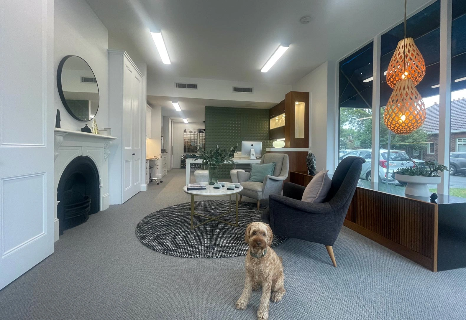 A dog is seated in a stylish room, featuring comfortable furniture and a glowing fireplace